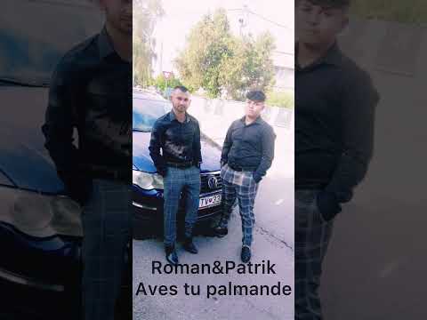 Roman🎼patrik🎶aves tu palmande(cover