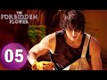 The Forbidden Flower EP05 Starring Jerry Yan Xu Ruohan ENG SUB