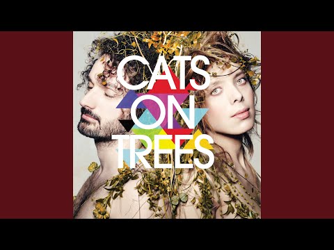 You Win - Cats on Trees