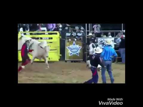 Video de Rodeio para status de WhatsApp 👊