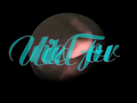 Rodenkircher Markt 2015 - Bilder - United Four - 28.09.2015 Montag - Rodenkirchen