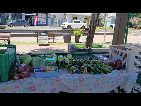 Dia de fera em São Jorge do patrocínio Paraná 