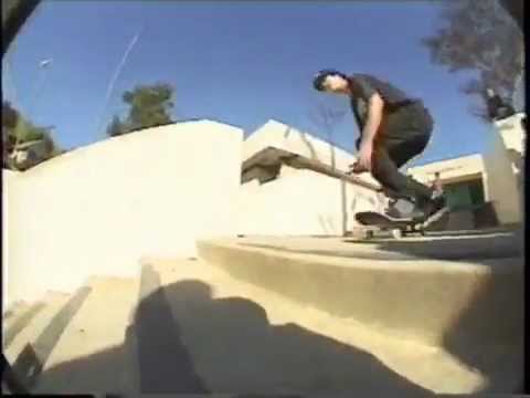 Andrew Reynolds - In Bloom