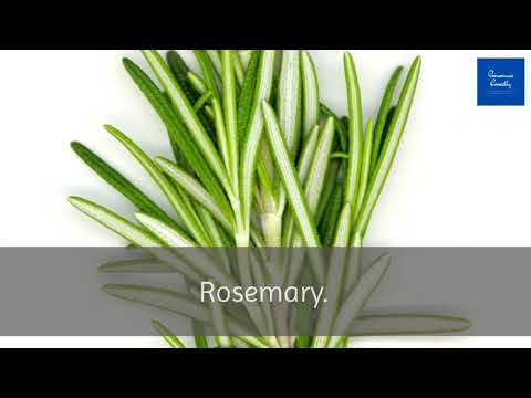 Correct Pronunciation Of Rosemary | 2020 |