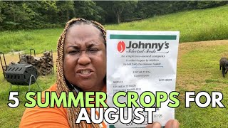 5 Summer Crops You Can Start in August