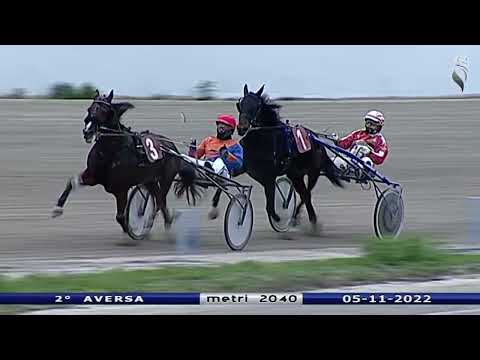 Aversa trotto 5 Novembre 2022 - 2° Corsa