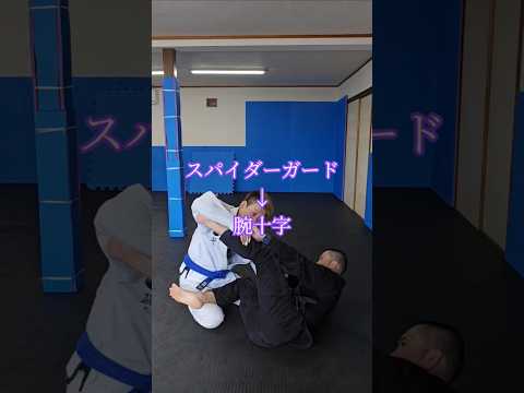 #腕十字 #スパイダーガード #ブラジリアン柔術 #bjj #jiujitsu #格闘技 #北海道 #オホーツク #北見市