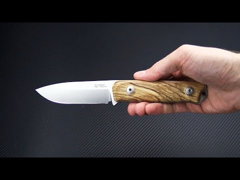 LionSteel B41 Bushcraft Olive Wood Sleipner Steel Fixed LionSteel B41 Bushcraft Olive Wood Sleipner Steel Fixed