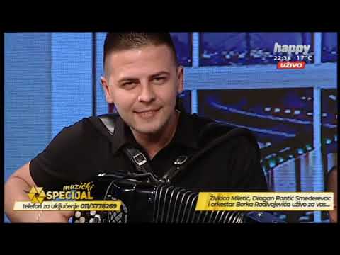 Radomir Pantic i orkestar Borka Radivojevica - Splet kola