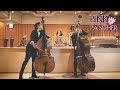 PINK PANTHER Theme (Double Bass)