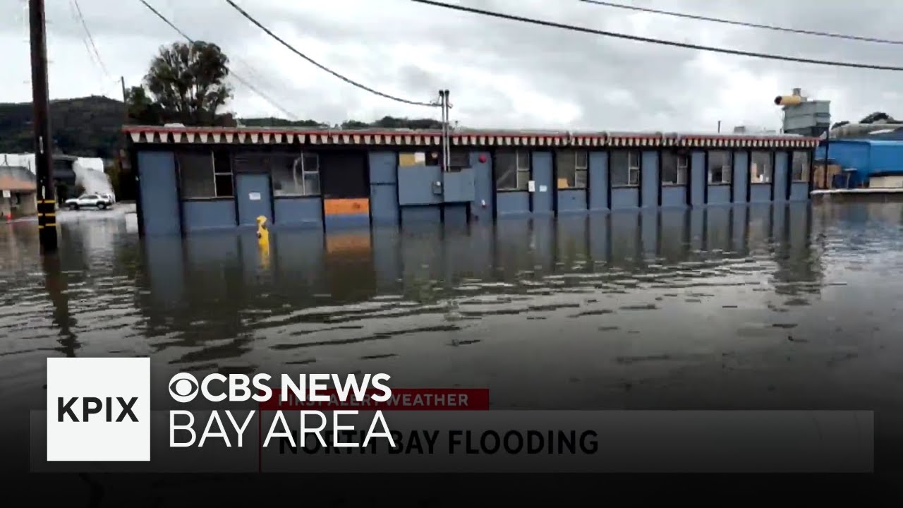 Fallen Trees, Flooding and Road Closures as the First in a Series of Storms Hits the Bay Area