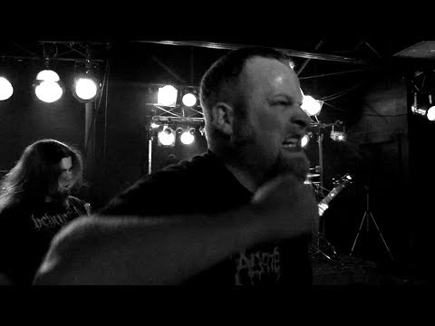 Mistaken Mastication/Meat Curtains