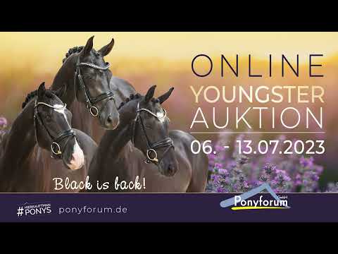 Da Costa Wallach 2019 v. Dimension AT NRW / FS Mr. Right