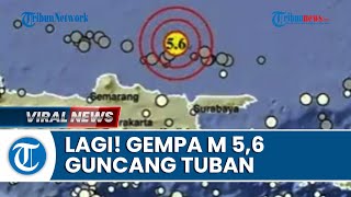 Gempa M 5,6 Guncang Laut Tuban, Getaran Terasa hingga Surabaya dan Tak Berpotensi Tsunami
