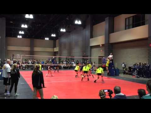 Corinne Cox (Setter, Jersey #2) Winterfest 2015