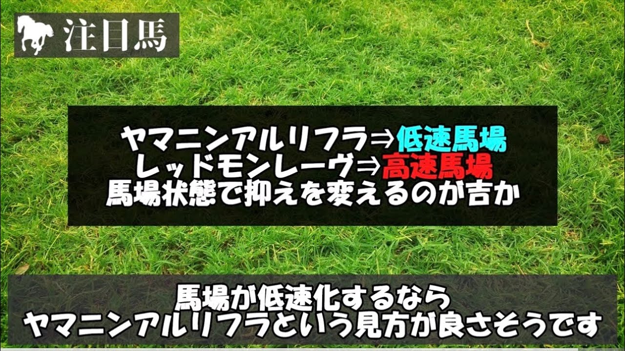 高松宮記念2026【考察】面白そうな穴馬見つけました。