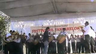 SARBA de la COZMESTI