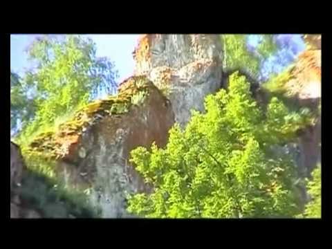 Pesi trascinato il mal di schiena Lagopuntura nel trattamento della colonna vertebrale