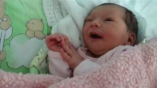 2-06-2018 Gramolę się