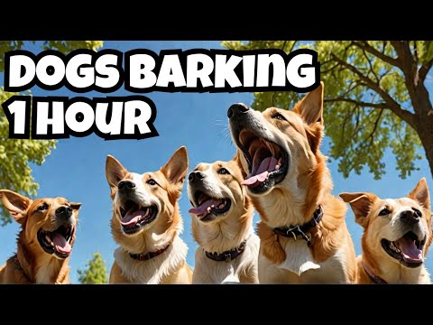 The LOUDEST Dogs Barking Video Ever! Dogs Barking For 1 HOUR!