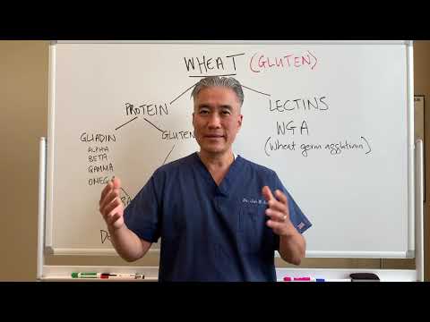 Understanding Thyroid Dysfunction Hashimoto s Part 1 Signs and Symptoms