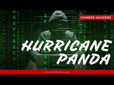 Hurricane Panda, 3 Minute Profile