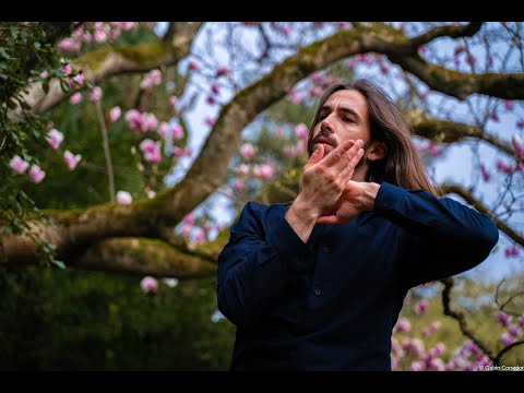 Tanzbiennale Heidelberg 2021 | Trailer »Mono no aware« von Samuel Gilovitz | »Freiraum Film«