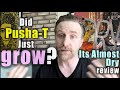 Did Pusha T Just Show Growth Its Almost Dry Review