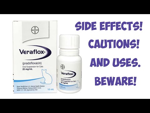 Veraflox For Cats Side Effects, Cautions, And Uses