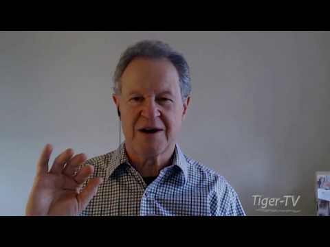 November 17th Trade What You See with Larry Pesavento on TFNN