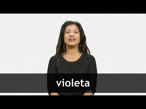 How to pronounce VIOLETA in Latin American Spanish