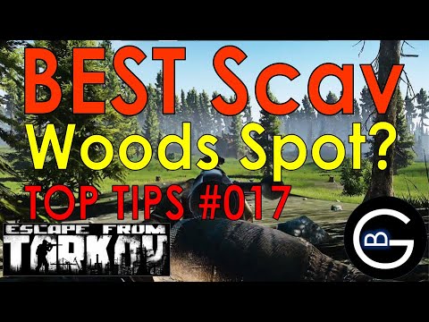 Tarkov Woods Scav Kills || BEST Spot on Woods?