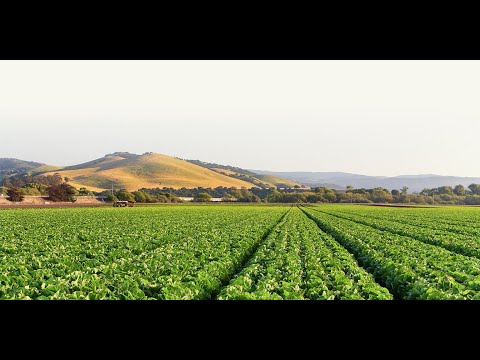 HARVEST to DUM DUM....?????????