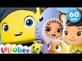 Baby Max Wheels on the Bus +More Nursery Rhymes and Kids Songs | ABCs and 123s | Little Baby Bum Baby Max Wheels on the Bus +More Nursery Rhymes and Kids Songs | ABCs and 123s | Little Baby Bum