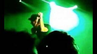 maximo park - acrobat