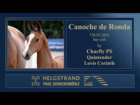 12 Canoche de Ronda by Chacfly PS - Quintender - Lovis Corinth