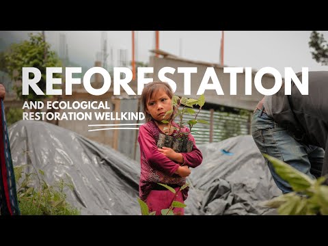 Help Plant 10K Trees in Lake Atitlan, Guatemala