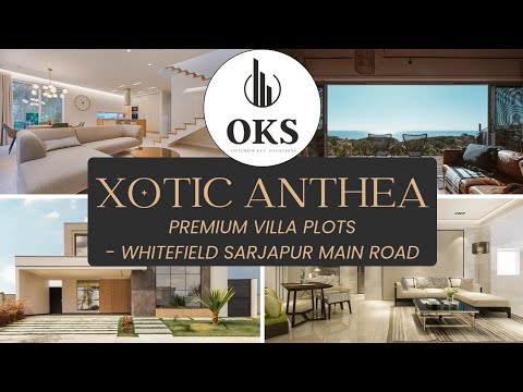 3D Tour Of Xotic Anthea