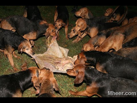 Mheer Slipjacht 2006