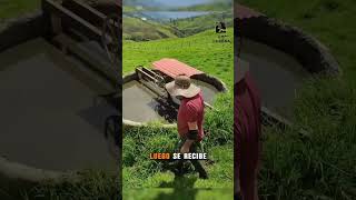 Limpieza de Establos Ganaderos 🐄🇪🇨💚