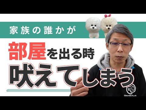 【犬のしつけ】家族が部屋を出るときに吠える【悩み相談ライブ切り抜き】
