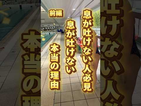 piscine-jardin-forme-rein-bel-eclairage