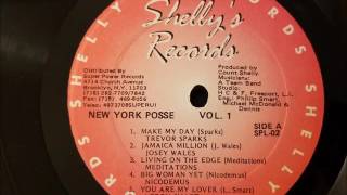 Leroy Smart - You Are My Lover - Shelly's Records - New York Posse LP - 1990