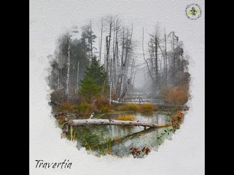 Vei (Original Mix) - Travertia