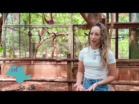 Conheça o Município de Guaíra