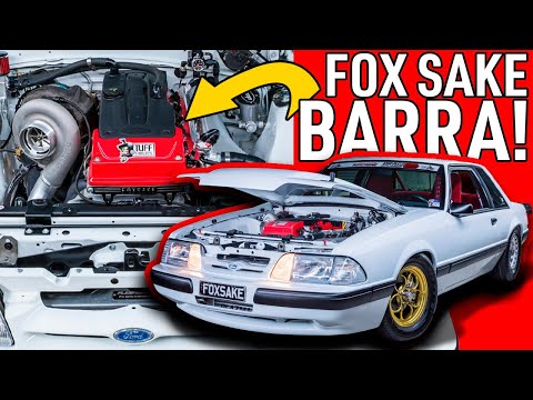 🏅 Jason Waye's Barra Powered Fox Body | HALTECH HEROES Video