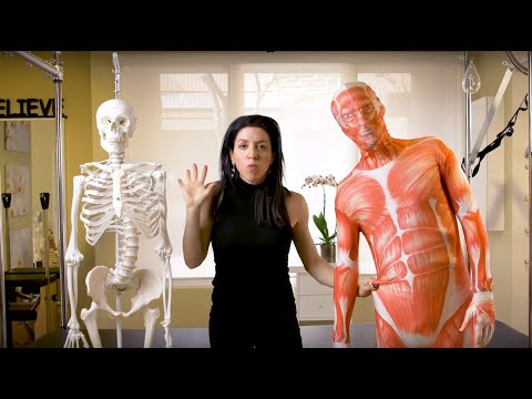 Fascia & chronic pain , A big picture  "systemic" approach