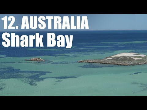 Travel to Shark Bay - AUSTRALIA : AWSM S01E27