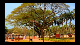 preview picture of video 'Incredible India (Day 08) GOA (Old GOA, Anjuna Market) - (Старый ГОА, Рынок)'