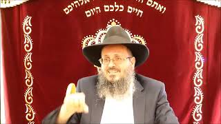 הרב דוד לוי חובת הלבבות פרק חמישי חלק ג'